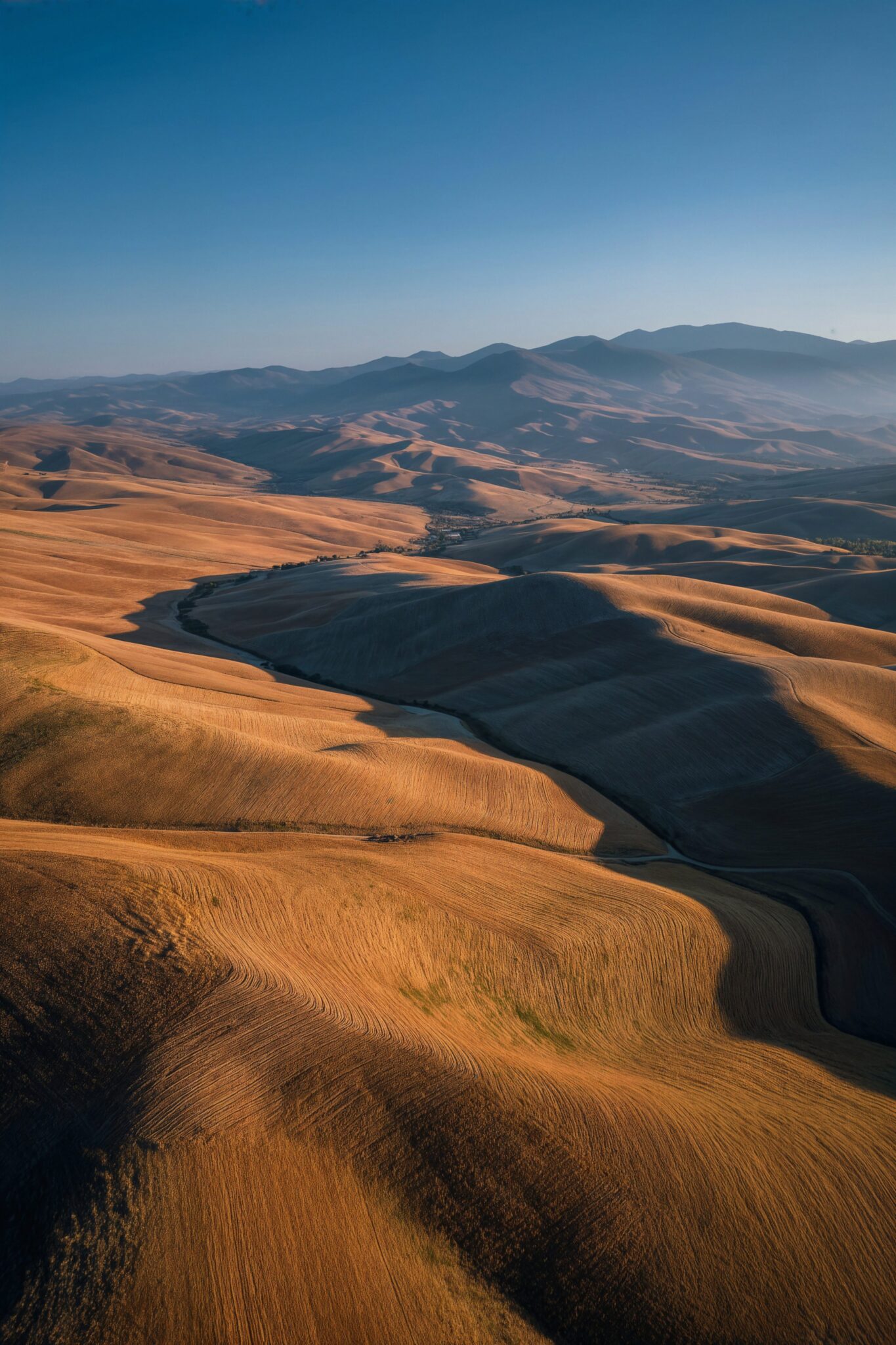 Cinematic AI landscape visual of sunlit golden hills, warm tones, luxury travel destination film still